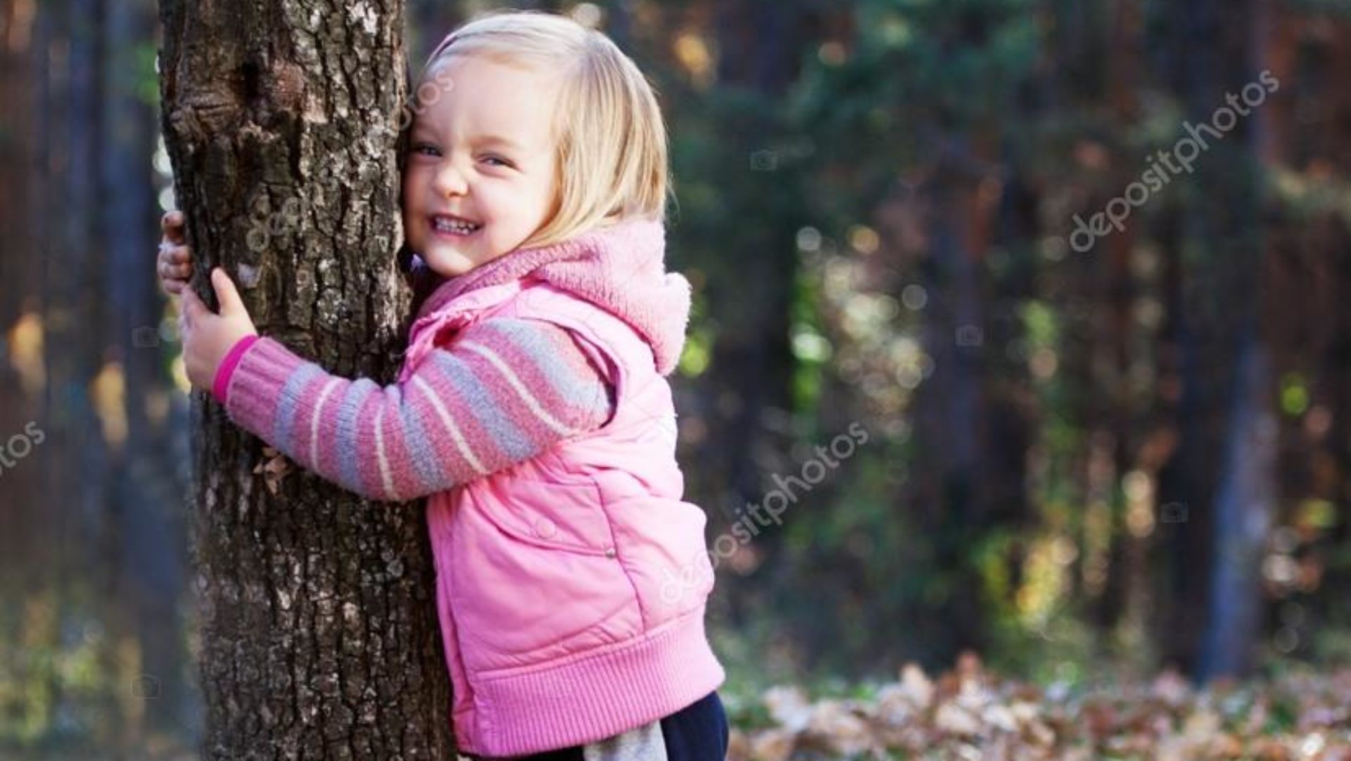 Le club des sapins verts
